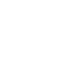 Van Gogh Museum Case
