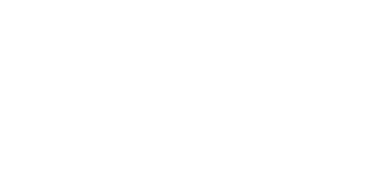 Eneco Case