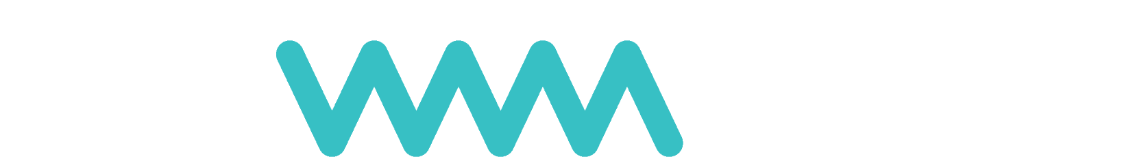 Flowmailer logo white and teal